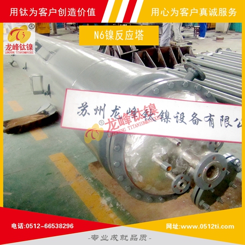 LFTN-TS0105-N6鎳反應塔